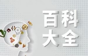 萬(wàn)能百科 萬(wàn)能百科